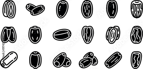 Black and white of various seed types seeds botanical plant line seed types