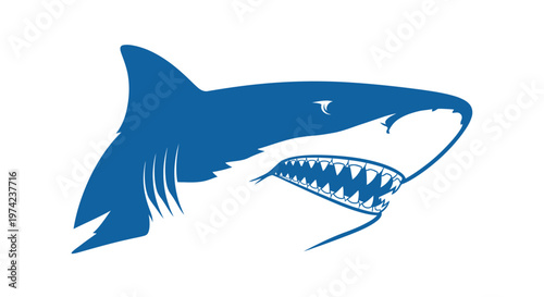 Aggressive blue shark head with open mouth and sharp teeth