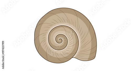 Brown spiral gastropod snail shell illustration on white background