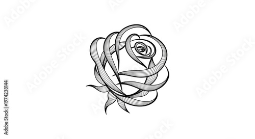 Elegant black and white line art rose flower drawing.