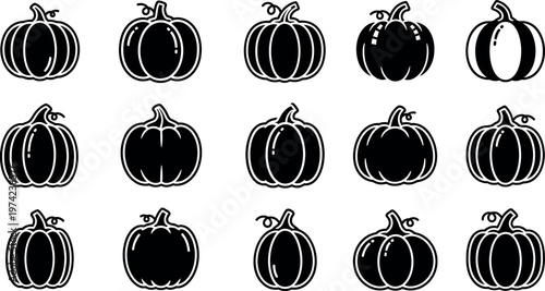 Black and white pumpkin in rows pumpkins halloween fall gourds