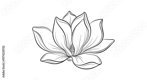 Hand drawn black and white lotus flower line art