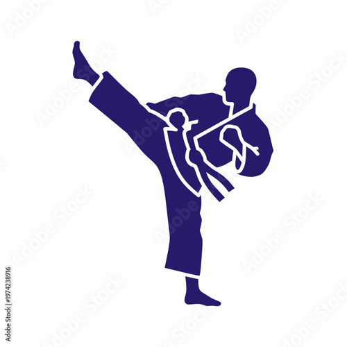Martial arts practitioner performing high kick in blue silhouette