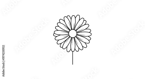 Minimalist black and white line art daisy flower illustration