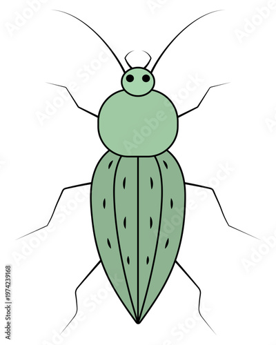 Common green ground beetle. Top view. Insect with antennae, jaws, and long limbs. Color vector illustration. Isolated on white background. Garden beetle. Web design idea.