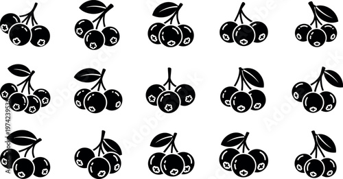 Black cherries on white background fruit symbols