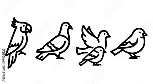 Four birds standing in line illustration.