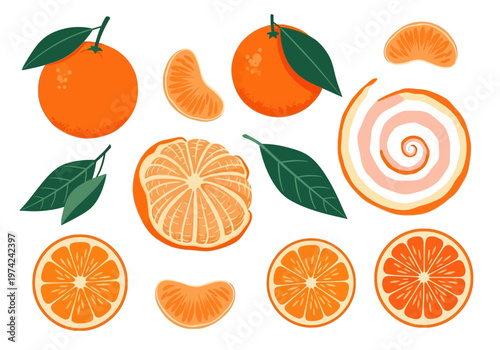 Orange Citrus Fruit Collection with Whole Mandarins, Slices, Segments and Green Leaves Isolated on White Background