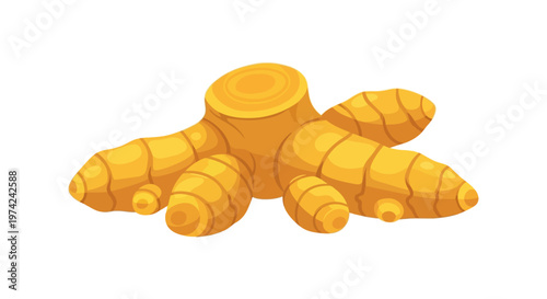 Cartoon style fresh ginger root isolated on white background