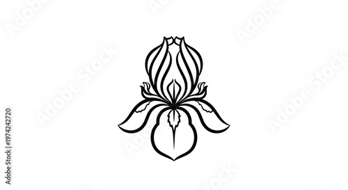 Elegant black and white floral iris illustration on white