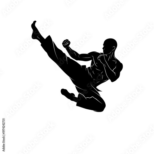 Dynamic flying kick by powerful male martial artist silhouette