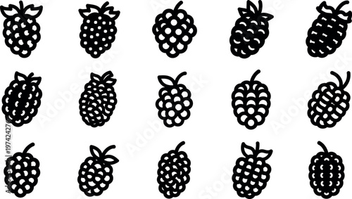 Blackberry on white background blackberries fruit