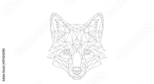 Geometric low poly fox head outline illustration on white