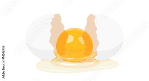 Cracked egg with yolk and shell on white background