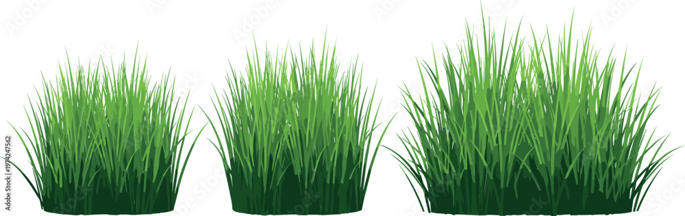 Fototapeta premium Grass Clumps Collection in Different Shapes and Heights Vector Illustration for Landscaping, Nature, and Garden Design Projects