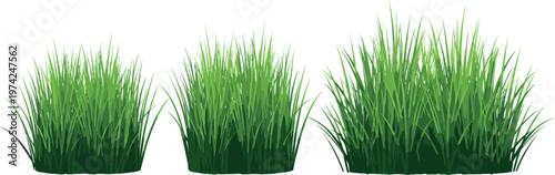 Grass Clumps Collection in Different Shapes and Heights Vector Illustration for Landscaping, Nature, and Garden Design Projects