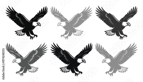Bald eagle vector set with 6 flying bird silhouettes, majestic eagle landing icons in black and grey, predatory bird mascot illustrations for logos