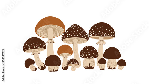 Set of diverse wild mushrooms in earthy brown tones with different shapes and spotted caps on a clean background.