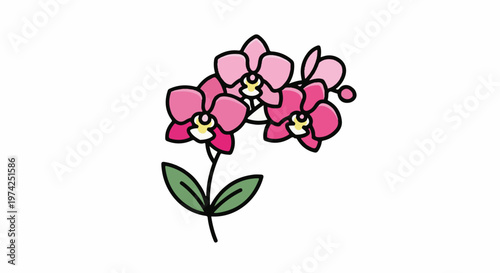 A simple, stylized illustration of pink orchids on a white background
