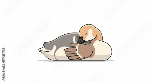 A cute duck tucked in, sleeping peacefully with its head resting on its wing