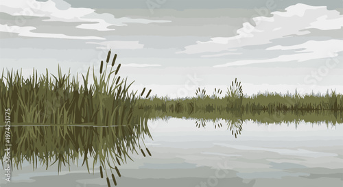 A serene marsh scene with tall reeds reflecting in calm water under a cloudy sky