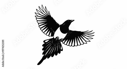 Stylized black and white illustration of a magpie in flight, wings spread wide