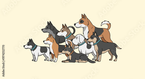 A group of diverse dogs with various markings and collar colors stand together