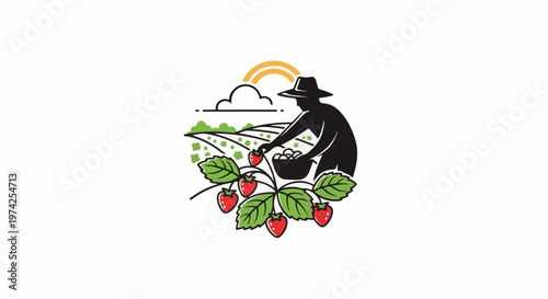 Silhouette of a farmer picking strawberries in a field under a rainbow