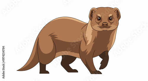 Brown fur animal with pointed ears and a long tail, walking forward