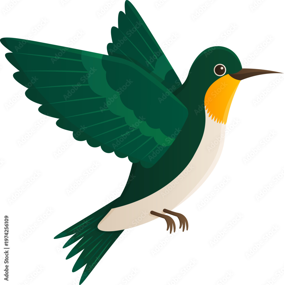 Fototapeta premium Illustration of Hummingbird