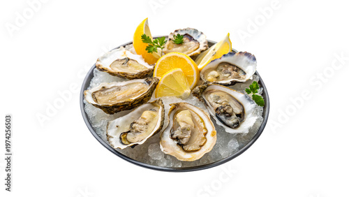 Fresh oysters served on ice with lemon slices and garnish isolated on transparent background