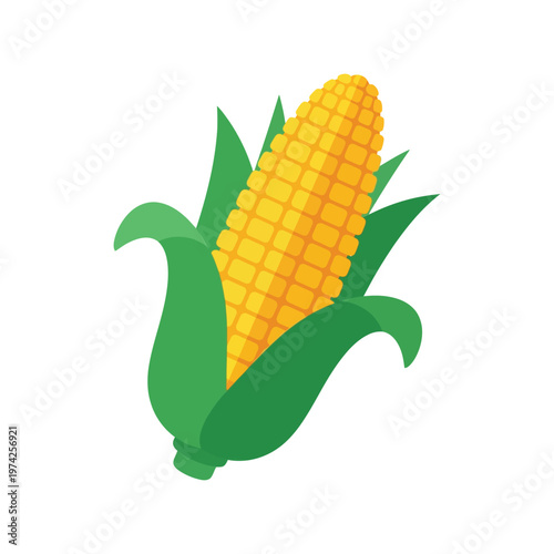 Corn on the Cob Vector Illustration Isolated on White Background for Food Design