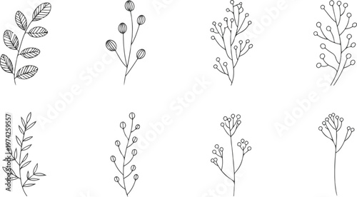 Clean vector illustration of eight floral stems featuring leaves berries and fruit clusters arranged in structured layout