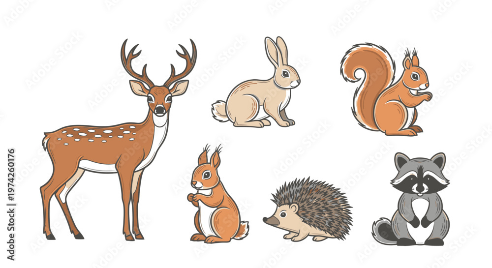 Fototapeta premium Collection of forest animals cartoon style.