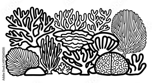 Coral reef with various sea fans.