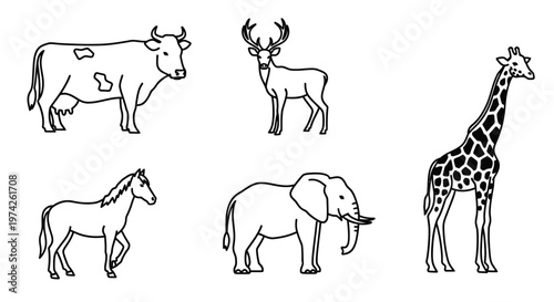 Group of various wild animals standing 1.