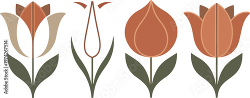 Minimalist tulip flower illustration set with four stylized blooms in terracotta and peach tones horizontal arrangement