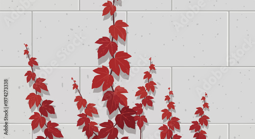 Red ivy vines climb a textured gray stone wall with shadowed leaves