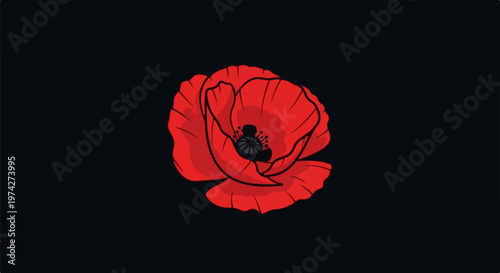 A stylized red poppy with delicate black outlines stands out against a solid black background
