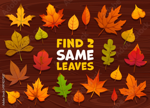 Kids game worksheet, find two same bright autumn leaves. Educational worksheet featuring fall leaves in yellow, orange and red colors. Fall season kids game worksheet