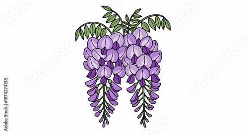Delicate purple wisteria blossoms with green leaves hang in cascading clusters