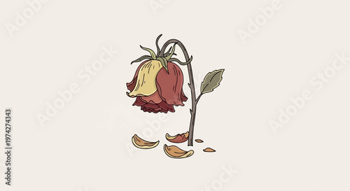 A wilting rose, its petals a blend of faded red and yellow, droops on a thin stem