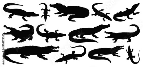 Wild Crocodile and Alligator Silhouette Vector Set for Wildlife Graphic Design, Transparent Background