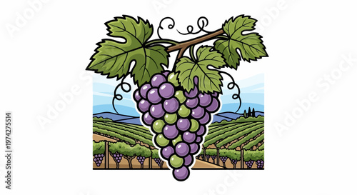A cartoon illustration of a lush vineyard with ripe purple and green grapes hanging