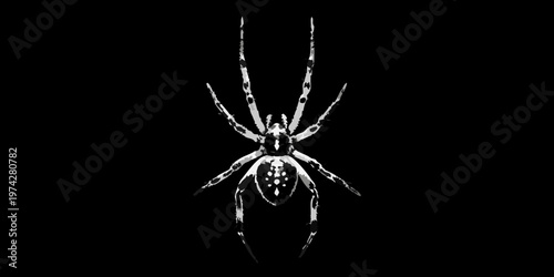 Detailed orb weaver spider against a dark background silhouette