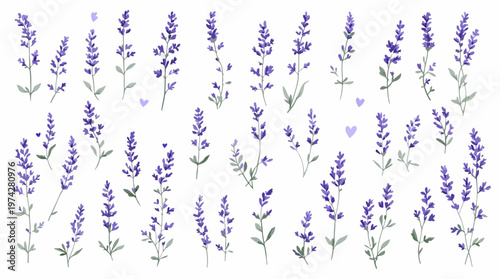 Hand-drawn lavender blooms forming a peaceful and harmonious pattern