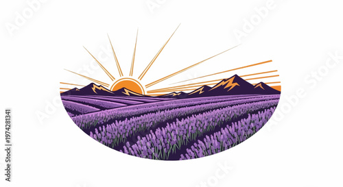 Sun rises over purple lavender fields and distant mountains