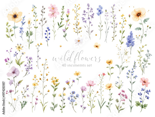 Soft wildflowers framing a moment of stillness and gentle reflection