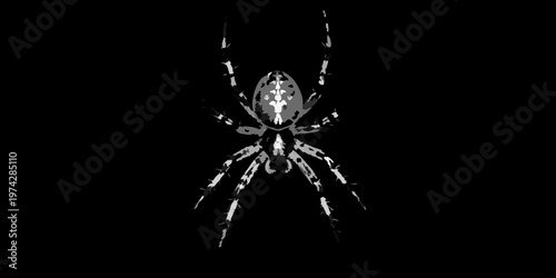 Detailed spider web with a striking arachnid silhouette