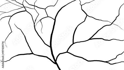 Abstract silhouette pattern of branching black lines resembling tree roots, cracked surfaces, or organic veins, isolated design element for textures, overlays, and creative backgrounds